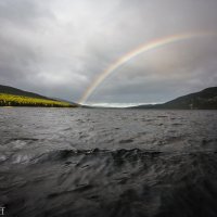 ... :: Александр Кузнецов