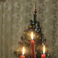 ... :: Светлана Павловская