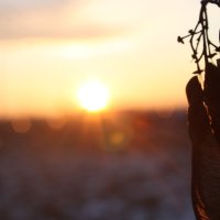 Кленовый закат :: Кирилл Кленовый закат :: Кирилл