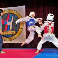 Нападение :: Николай Сапегин Нападение :: Николай Сапегин