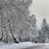 Затерянные  в  снегах. :: Vlad Borschev