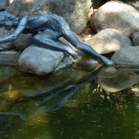 Нарцисс :: Марина Курагина