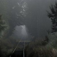 Вдаль :: Дмитрий Вдаль :: Дмитрий