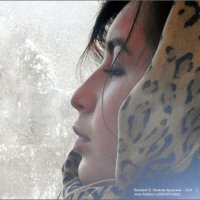 ПРОФИЛЬ В КАДРЕ :: Валерий Викторович РОГАНОВ-АРЫССКИЙ