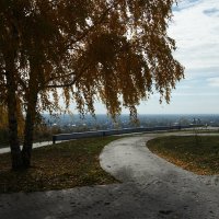 осень :: Алексей Дворцов