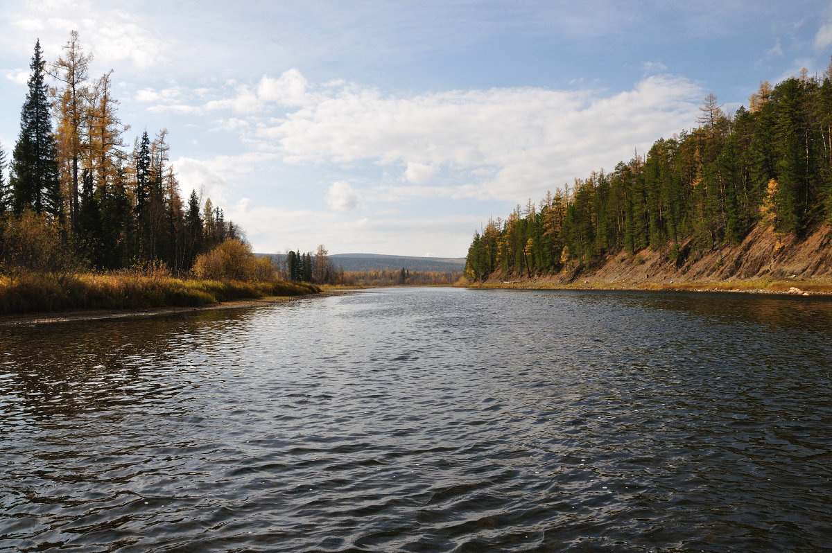 *** - Александр Хаецкий