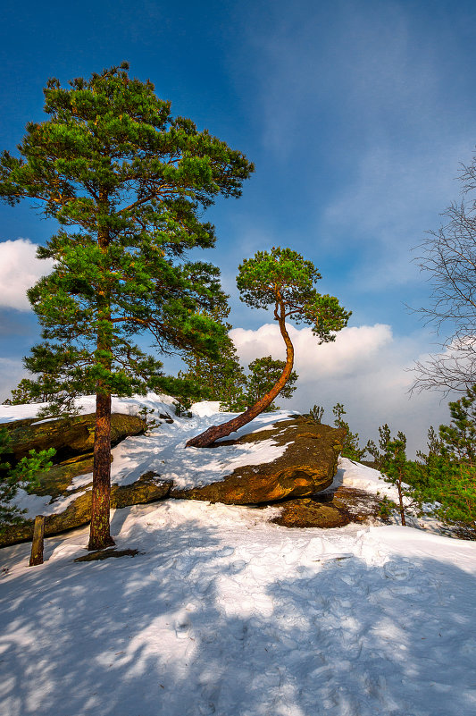 Чашковские просторы - Виталий Летягин Чашковские просторы - Виталий Летягин