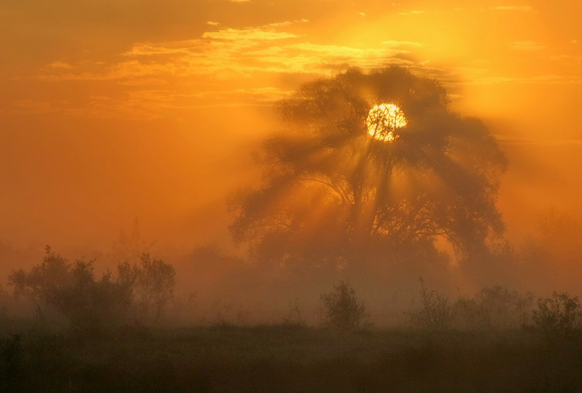 Привидение - Валерий Привидение - Валерий