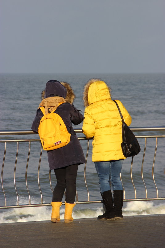 У моря. - Светлана 