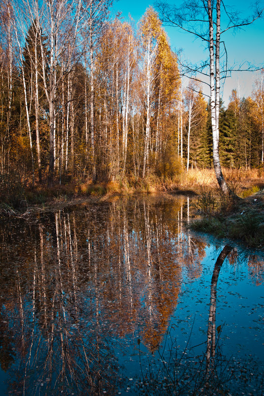... - Евгения Стасеня
