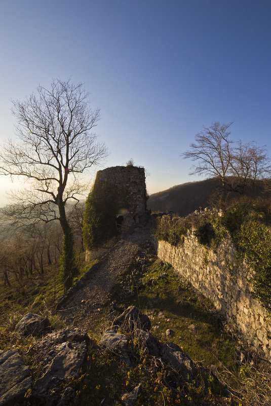 В стране Апсны - Андрей Черемисов