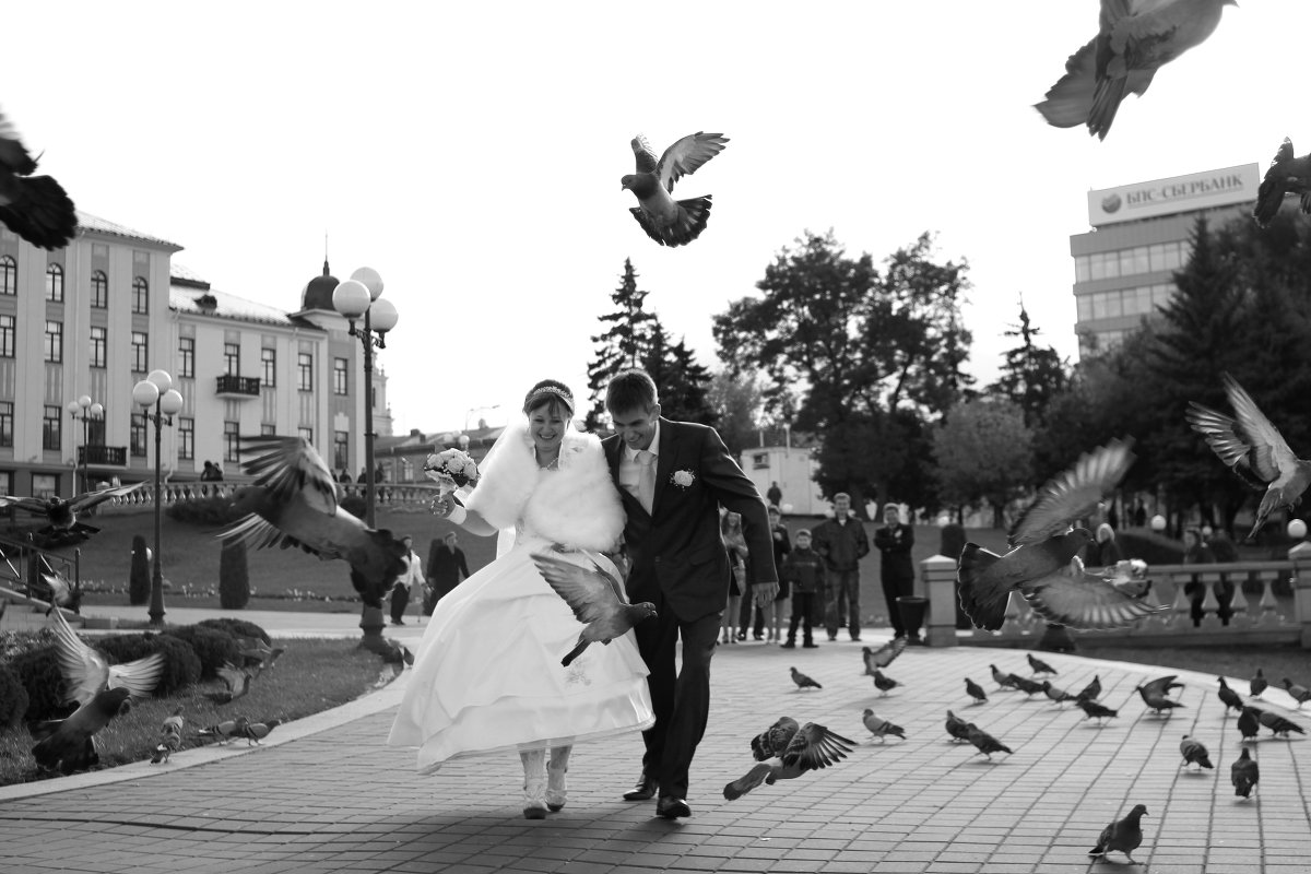 Навсречу счастью - Пётр Хилимончик