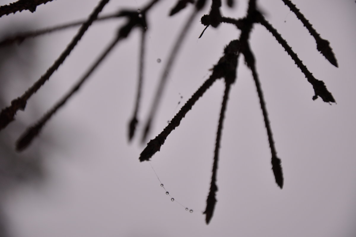 18 - Алексей Коротков