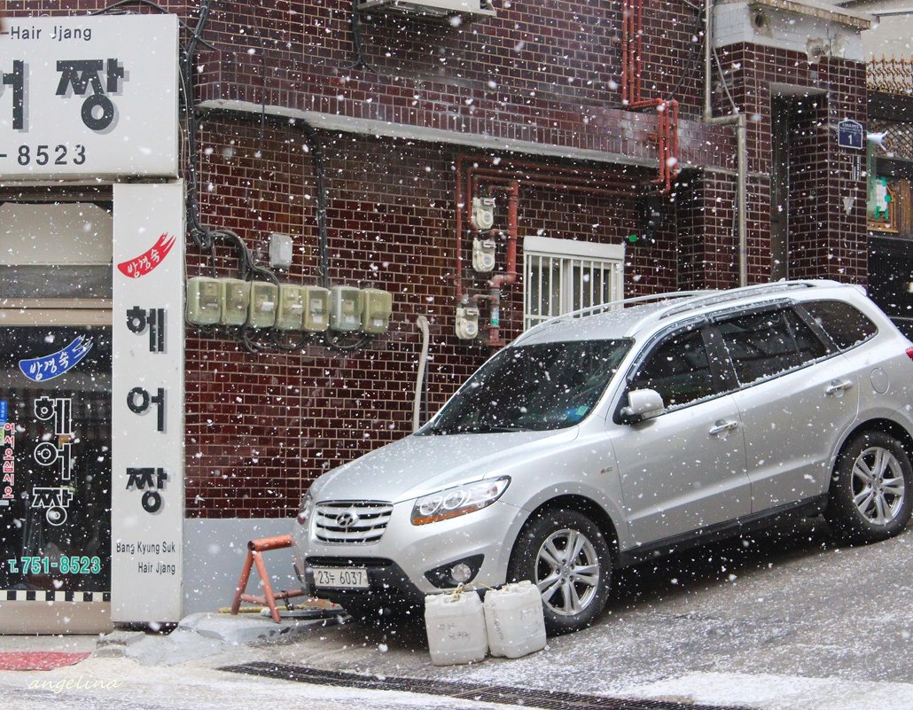 такие крупные хлопья снега в корее редкость - ангелина гончарук