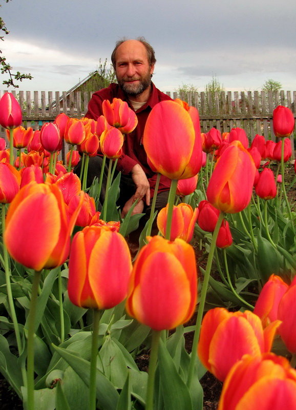 Как в Голландии :) - Марина Морозова Как в Голландии :) - Марина Морозова