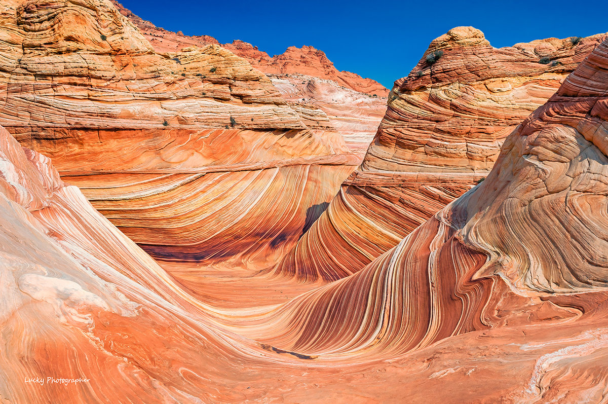 The Wave - Lucky Photographer