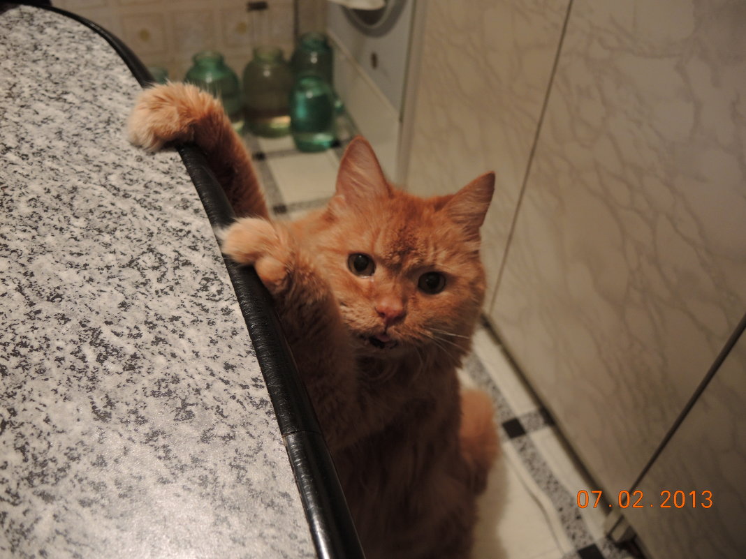 Басик - Олег 