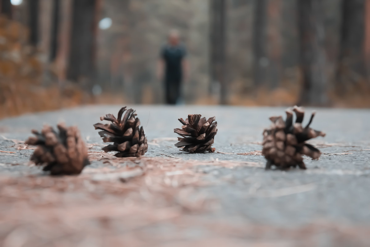 Прогула по лесу - Юлия Черемных