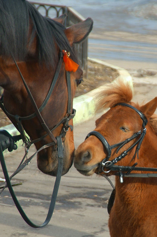 Встреча - Игорь Герман Встреча - Игорь Герман