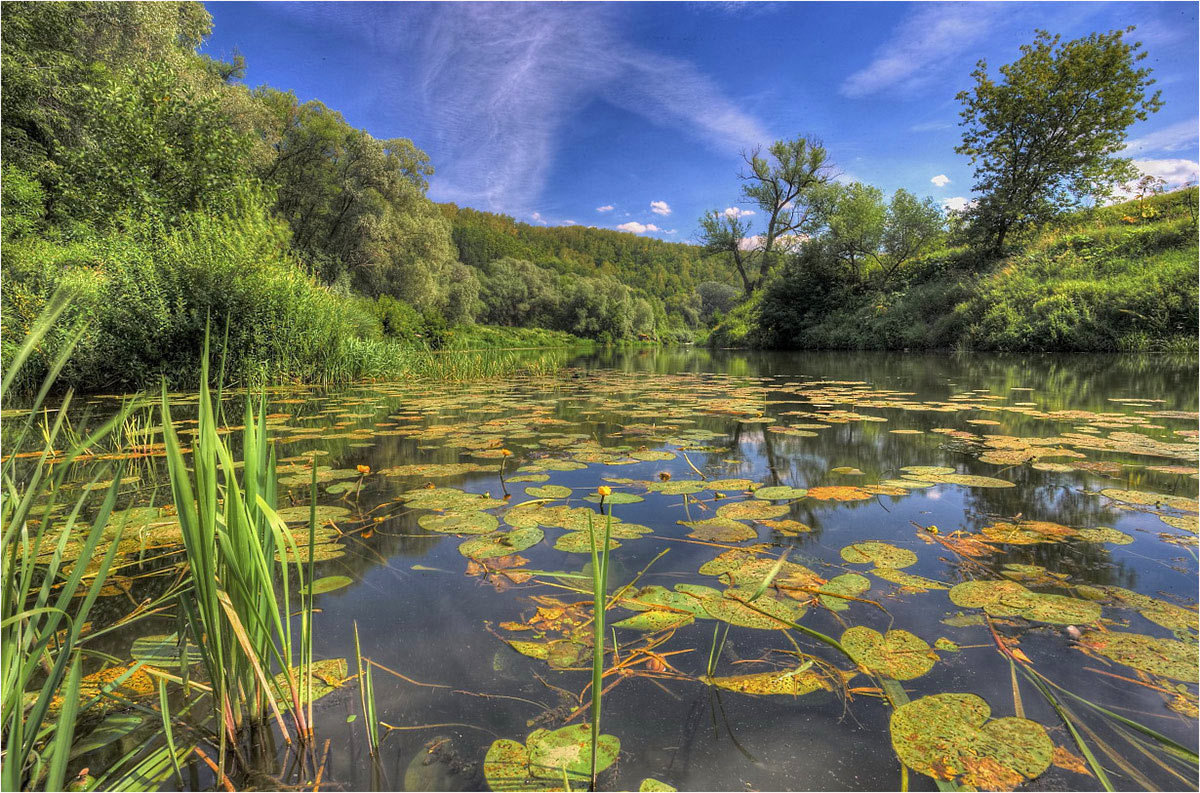 Летний полдень на реке Осетр - Nikita Volkov Летний полдень на реке Осетр - Nikita Volkov