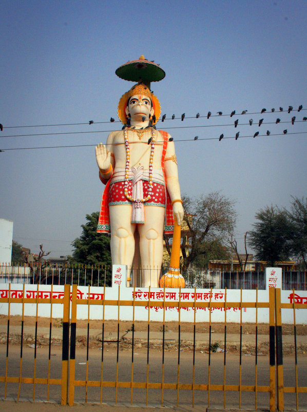 ... - Елена Михайловна