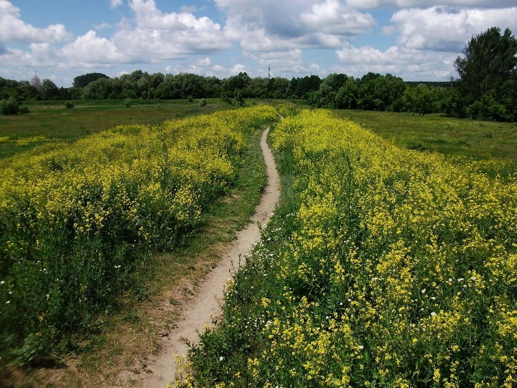 Тропинка к облакам... - Сергей Князь Тропинка к облакам... - Сергей Князь