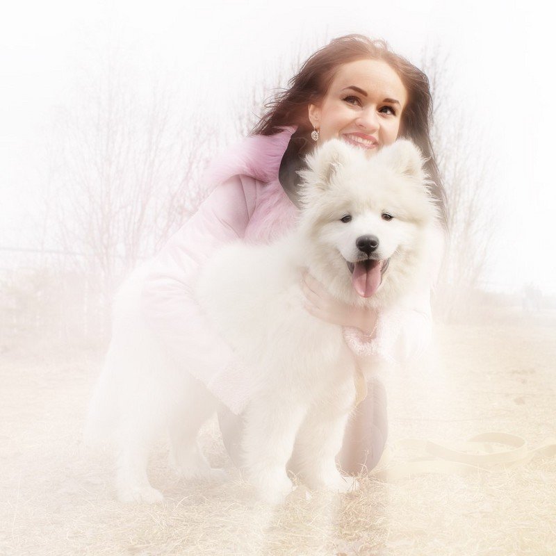 Ох, уж эти хаски ! - Павел Пик