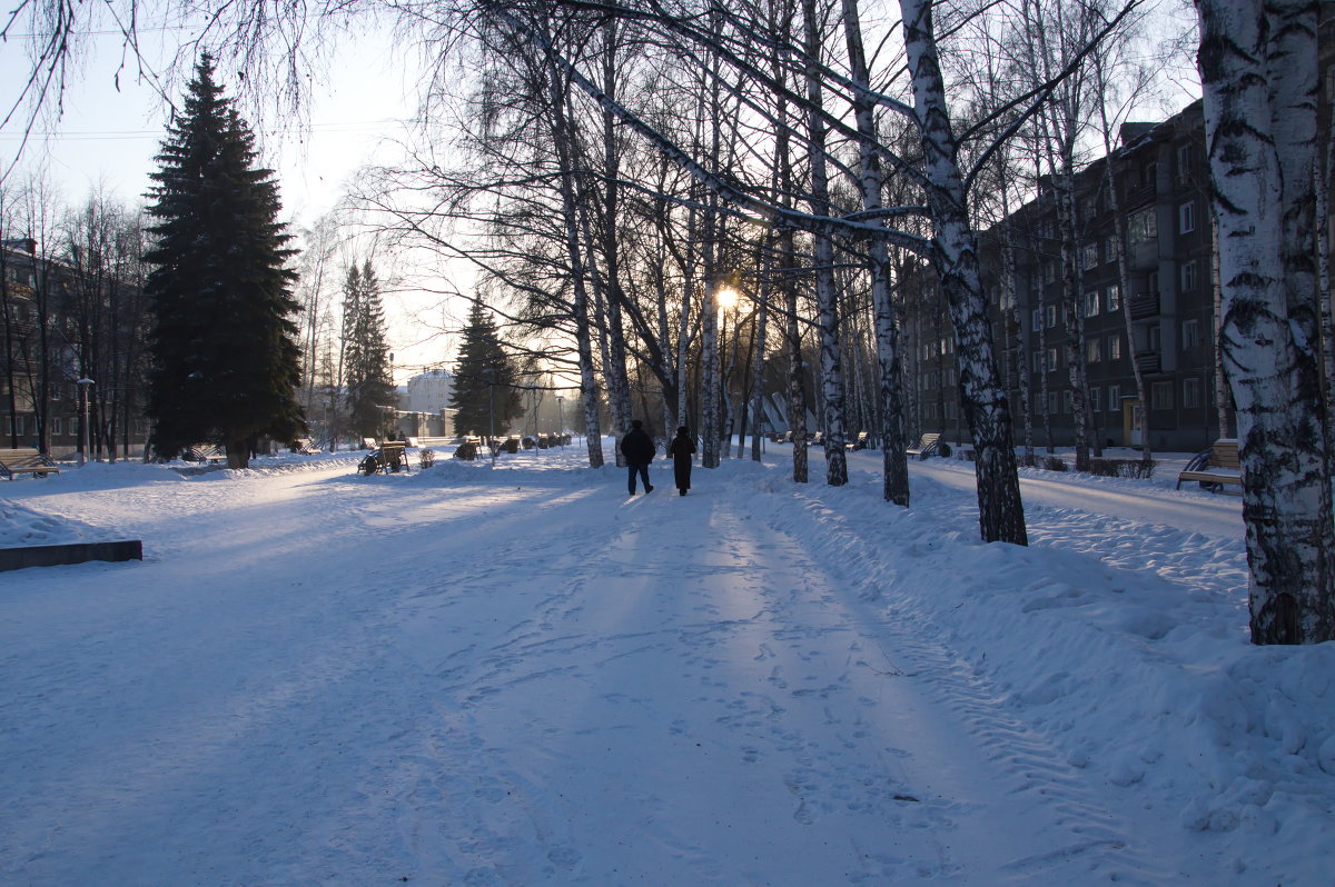 Морозный день - Ольга Логачева