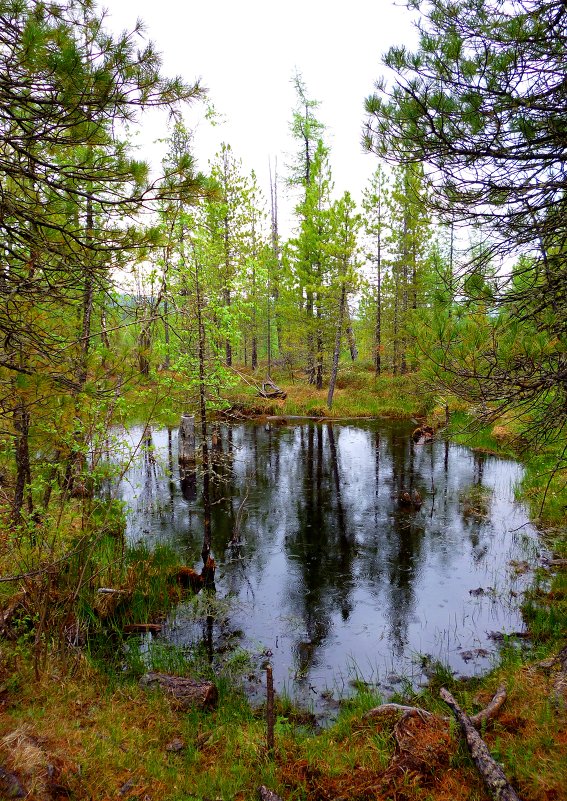 МЕТЕОРИТНОЕ ОЗЕРО - Дмитрий ВЛАСОВ