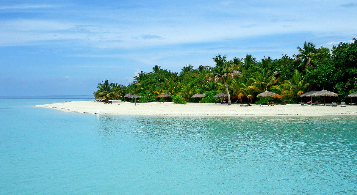 вечное лето - Alex вечное лето - Alex