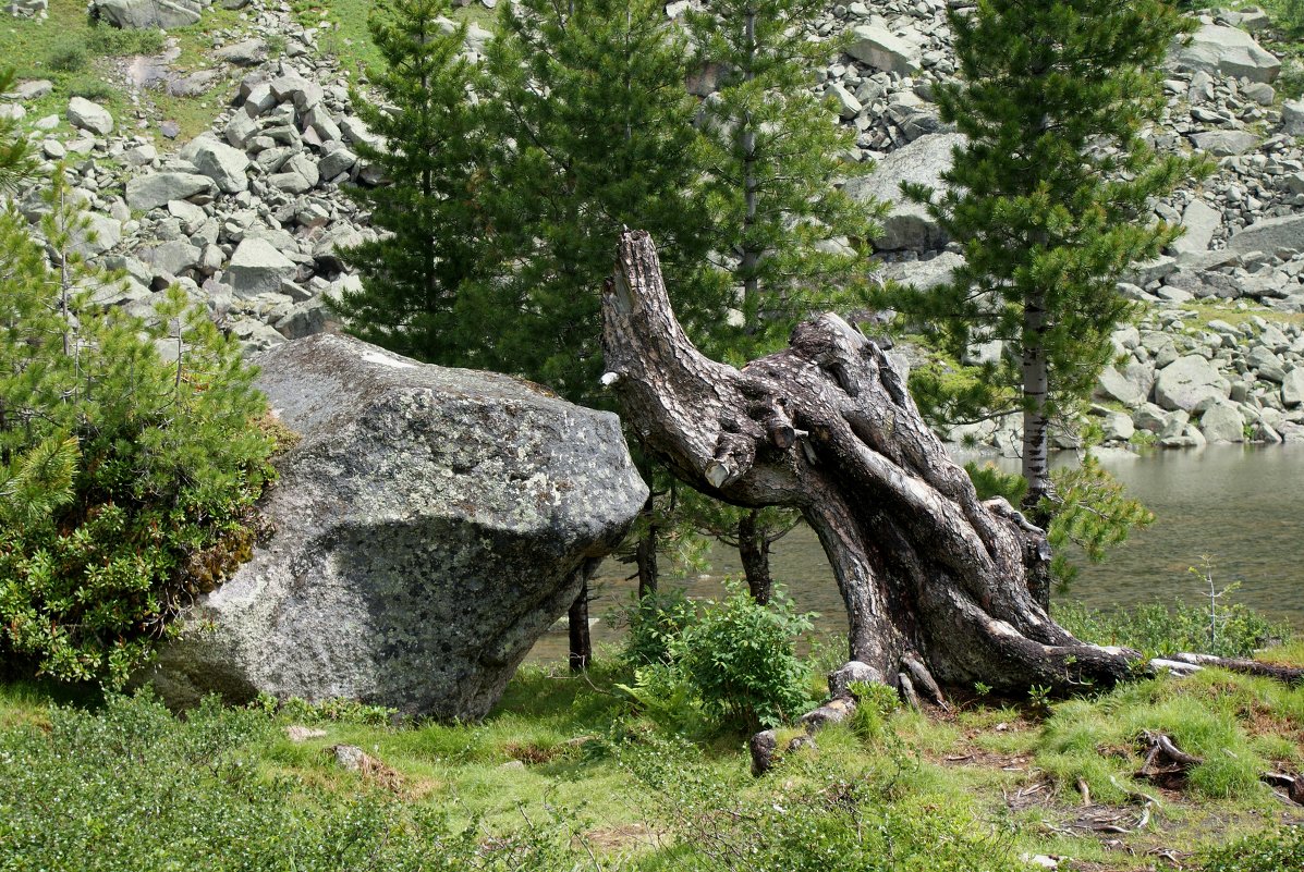 Причуды природы:) - sayany0567@bk.ru 