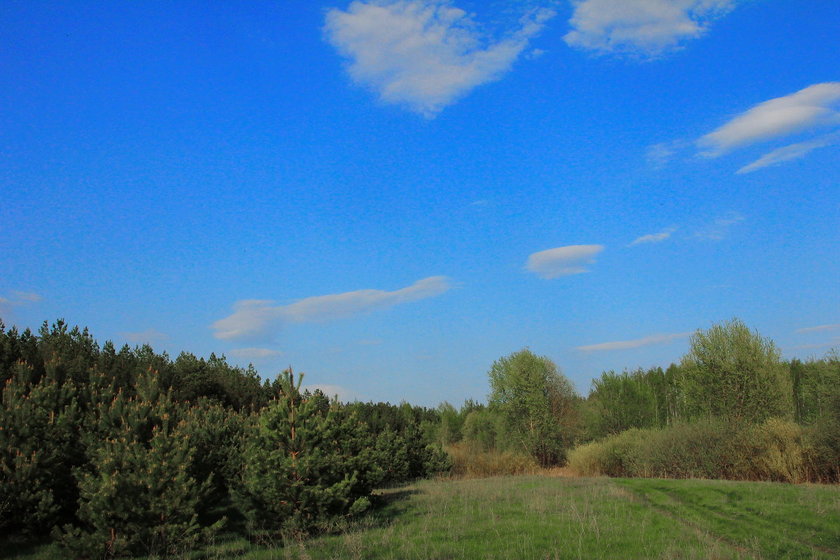 просто пейзаж - алекс 