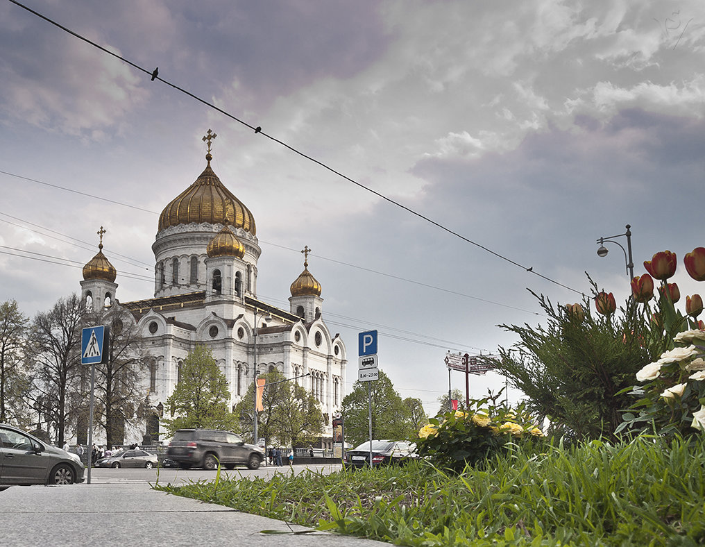 Гармония - Светлана Васильева