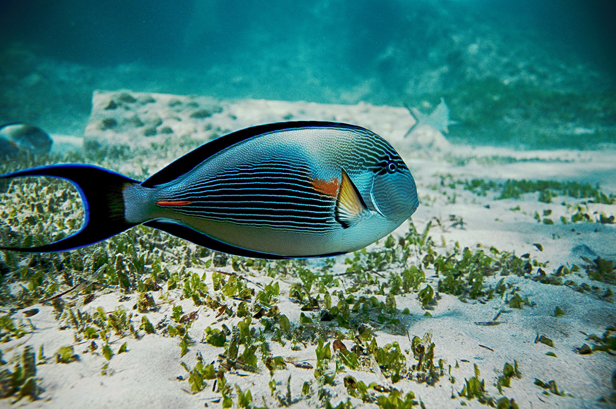 2 - Антон Богданов