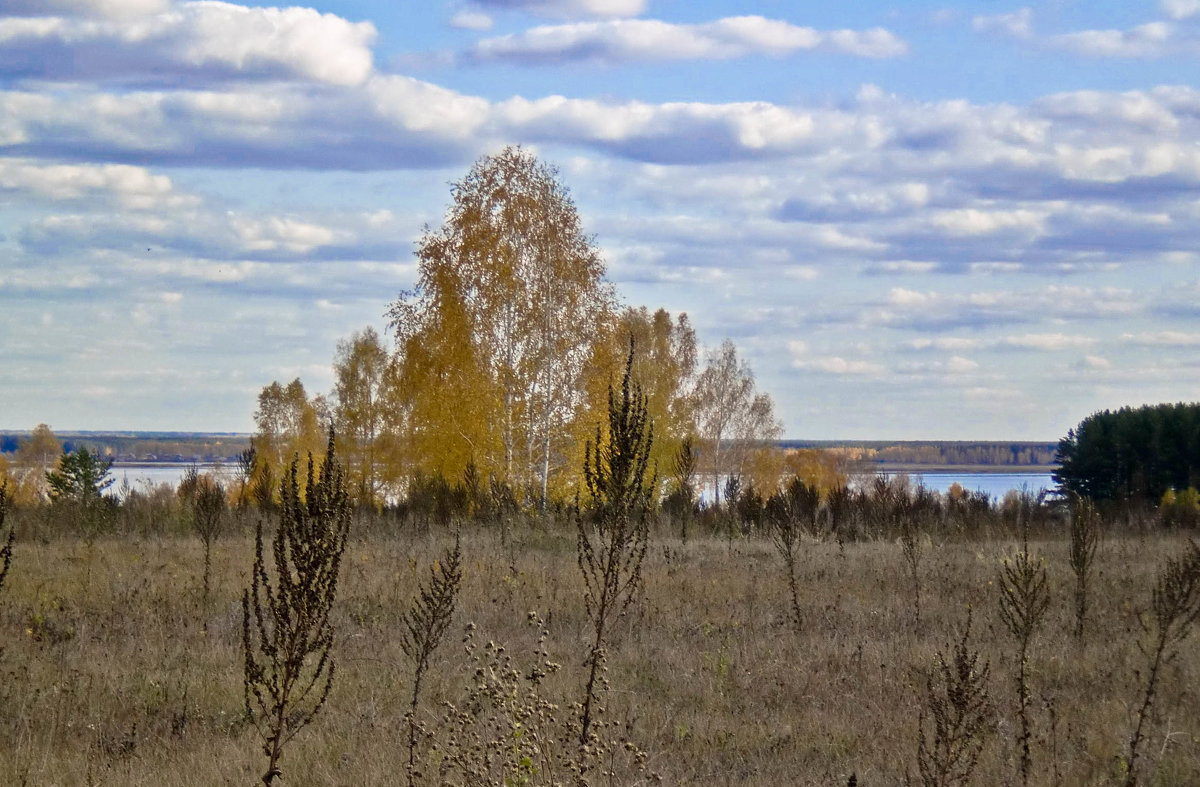 Осень. - Алексей Матвеев