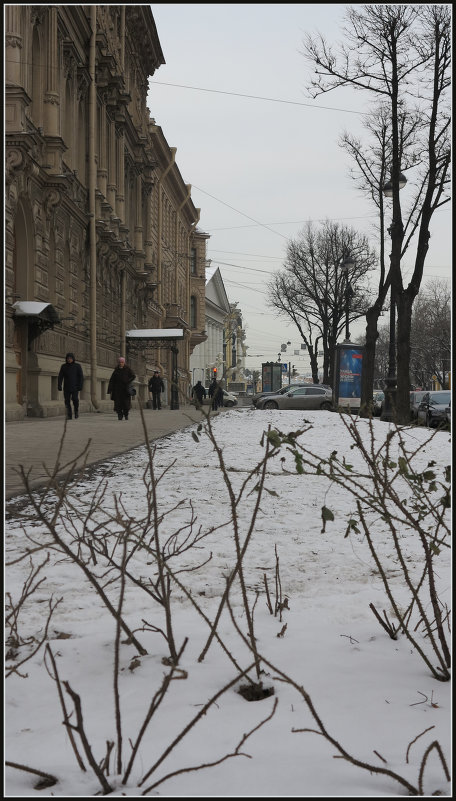 ... - Владимир Богославец