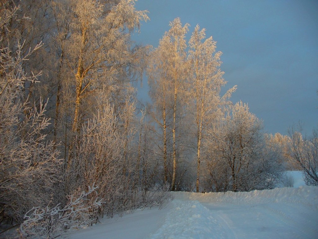 ГРАЧИНАЯ РОЩА - Виктор Осипчук ГРАЧИНАЯ РОЩА - Виктор Осипчук