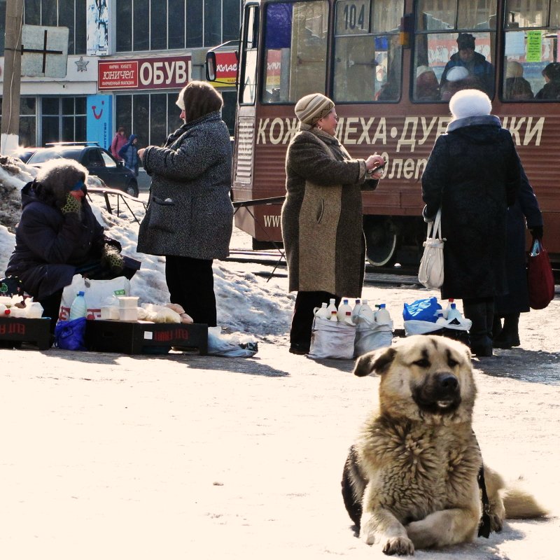 На остановке - Илья Тимкин