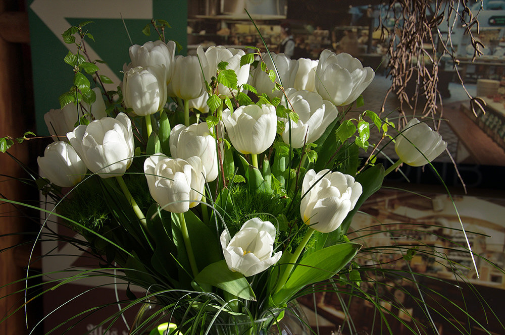 ...ждём весну :) - Лия -