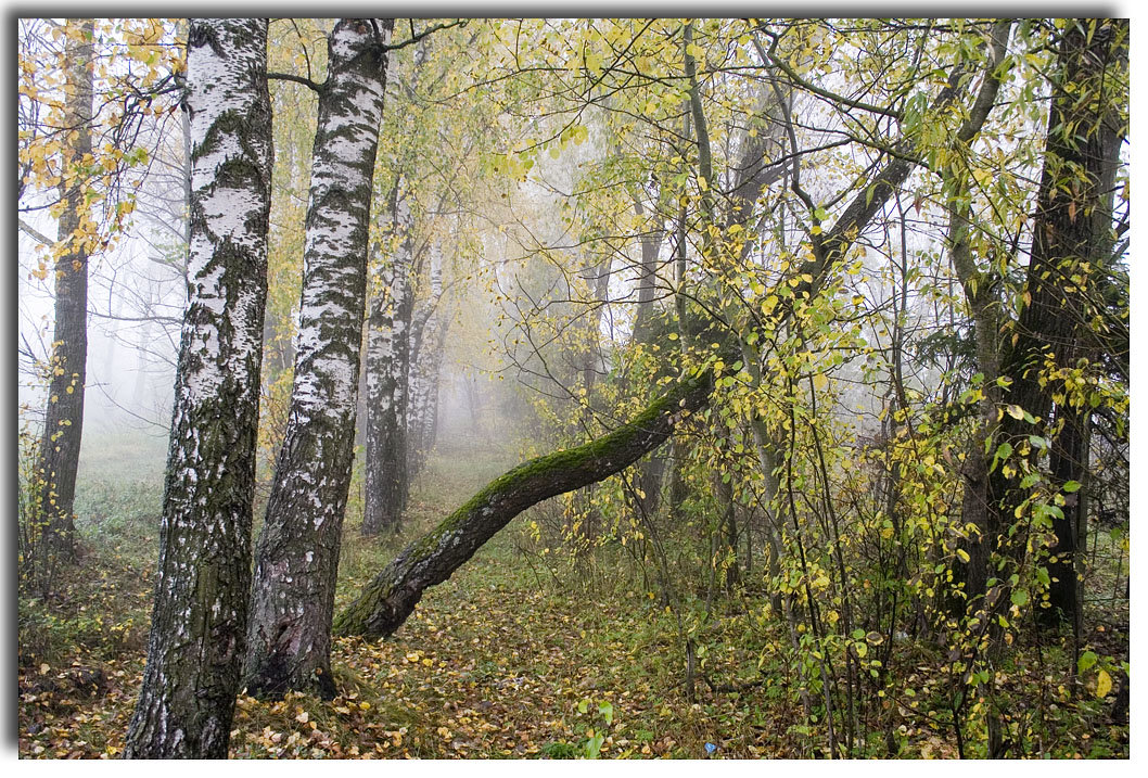 *** - Александр Михайлов