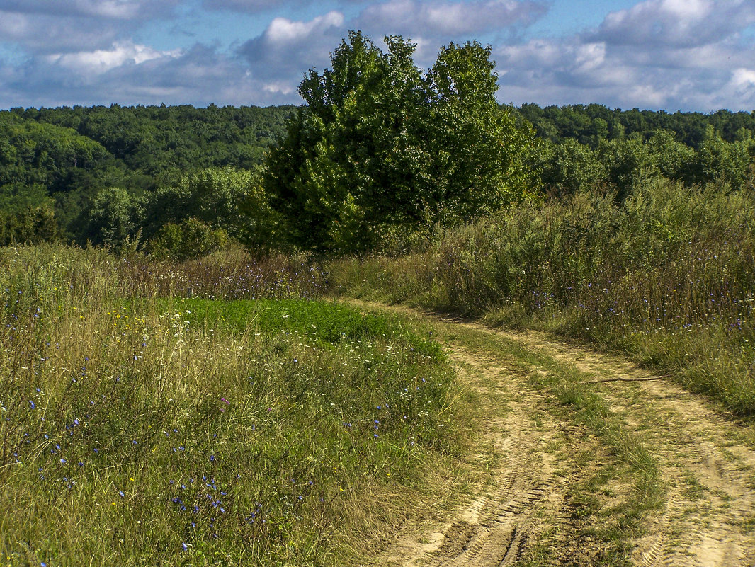 *** - Татьяна Кудельская