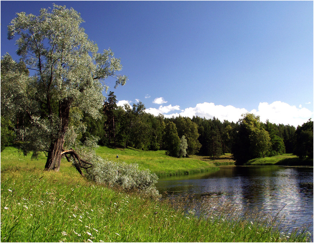 Павловский парк *** The Pavlovsk Park - Александр Борисов