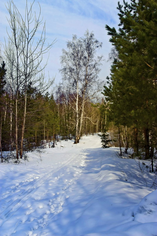 Лыжня - Алексей Дмитриев