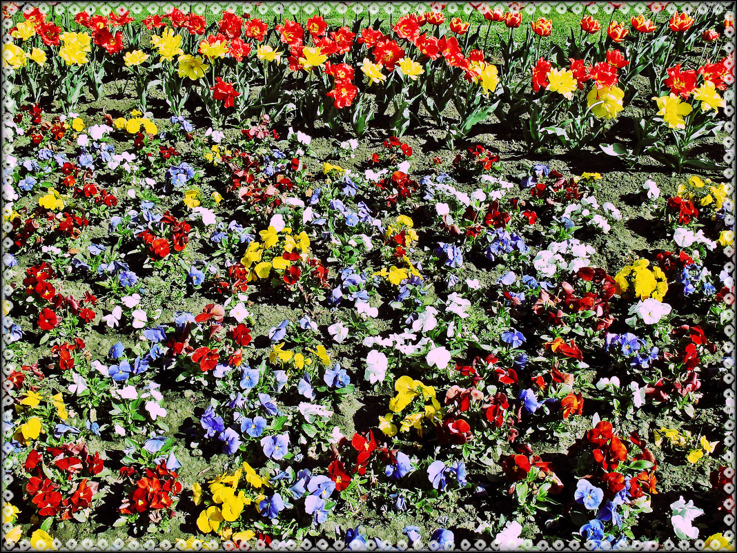 ... - Елена Михайловна