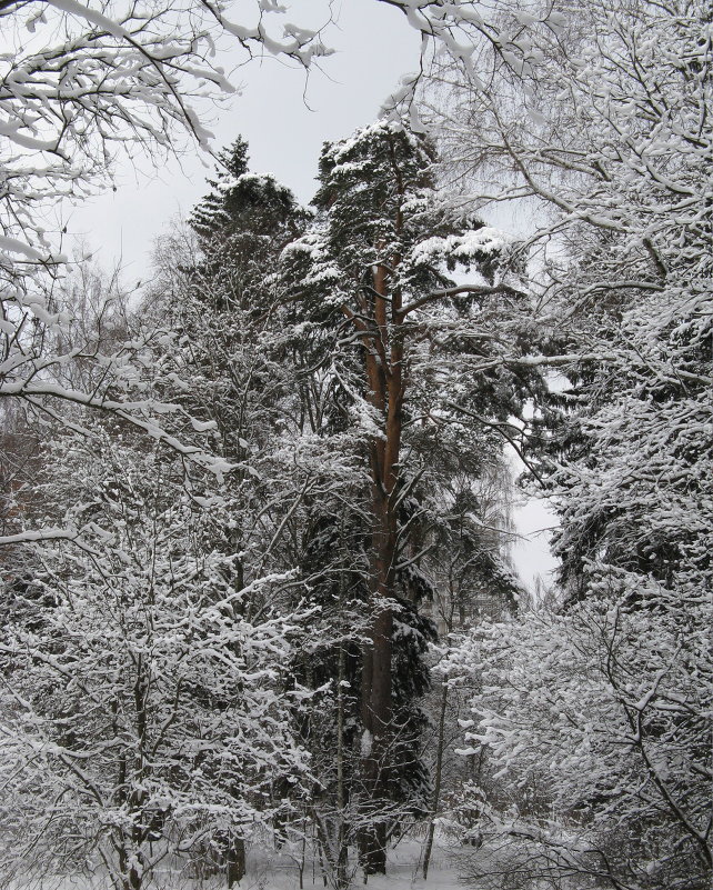 Февраль - Александр 