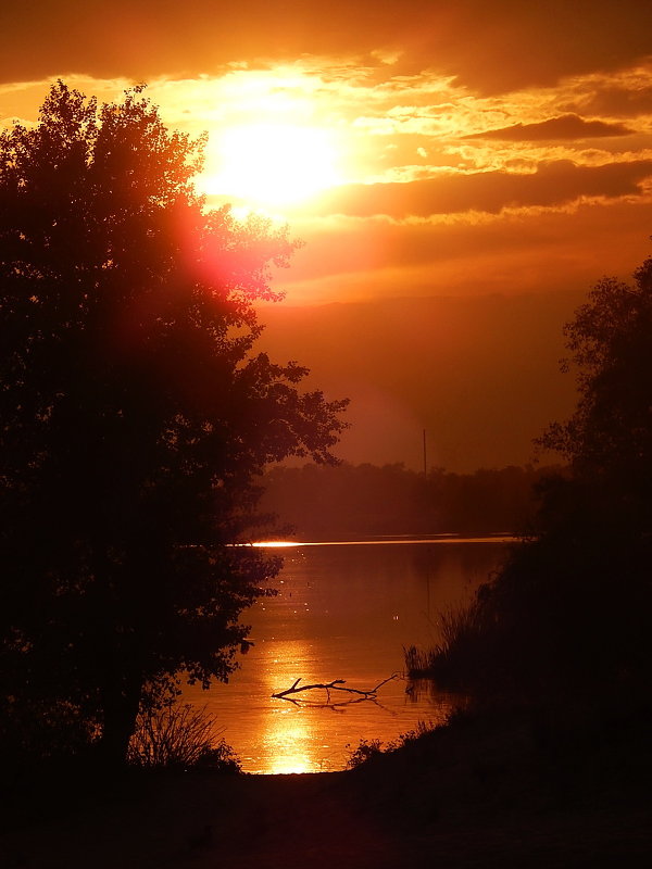 ***5 - Олег Рябич