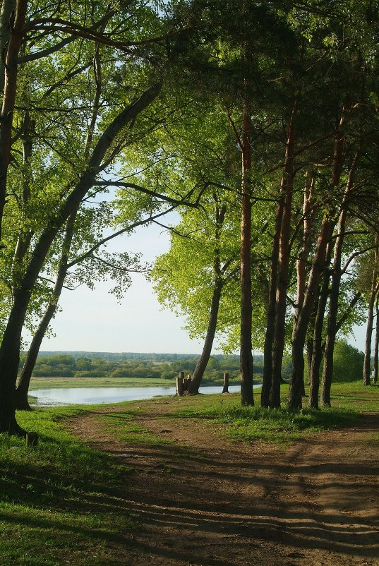 утро - василий утро - василий