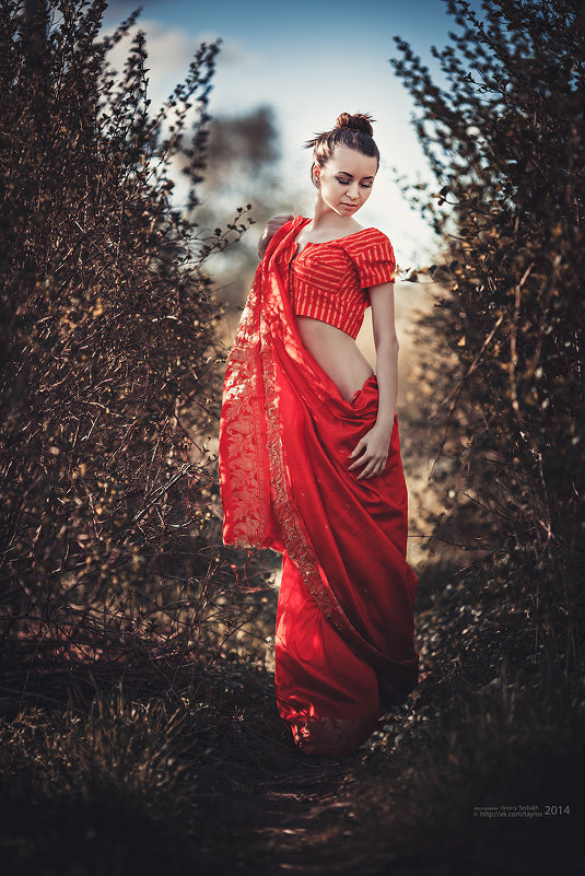 ... - Дмитрий Седых