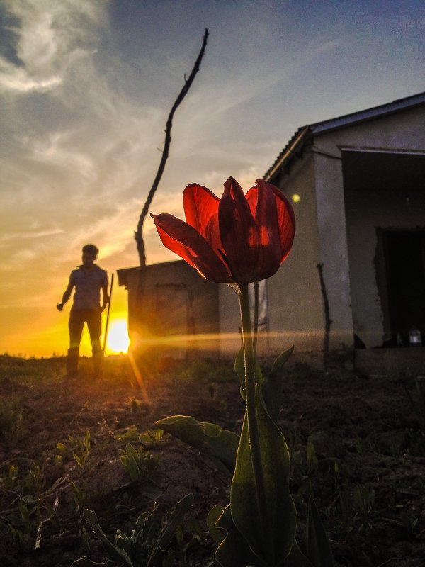 HDR - Болсунбек Таалайбек уулу