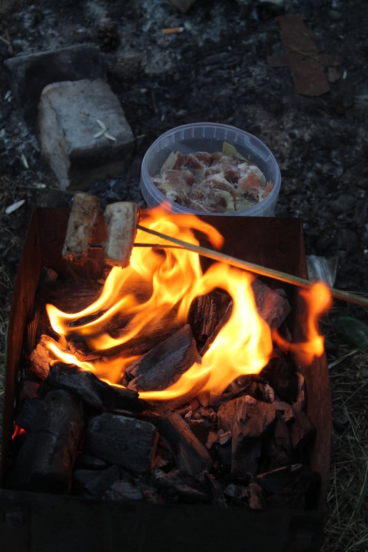 огонь - Надежда Замостик огонь - Надежда Замостик